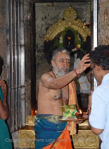 Meenakshi Temple, Madurai,_DSC_8113_H600